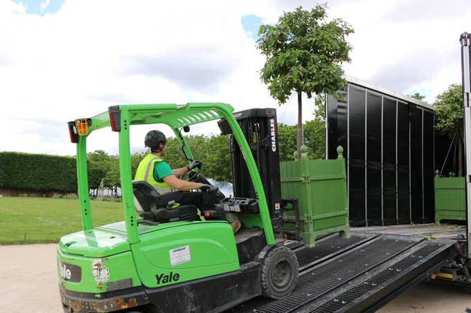 Manutention d'arbres à Paris