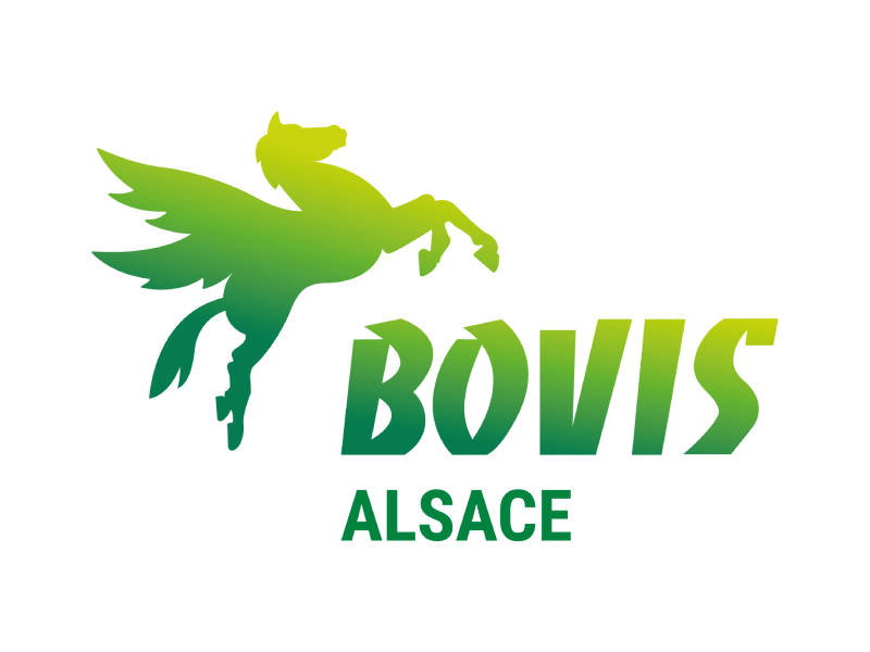 Agence Bovis Alsace