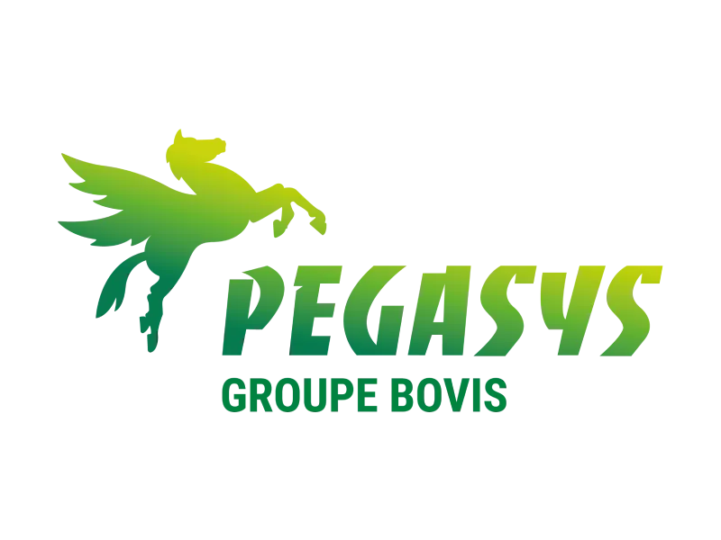 Agence Bovis Pegasys