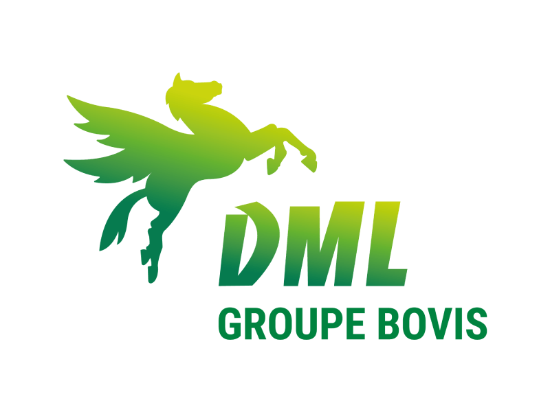 Agence Bovis DML